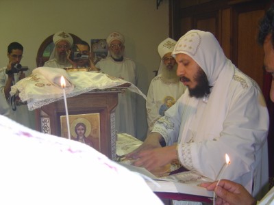 894.jpg